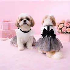 Vestido Pet Elegante com Laço para Guia Roupa  para Cachorro com Saia de Tule.