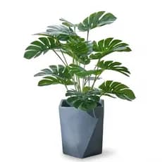 Planta Artificial Costela de Adão Verde 70cm - Folhagem Realista e Durável