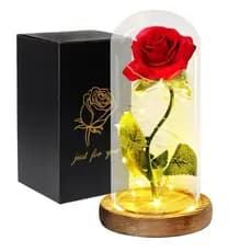 Luminária cúpula acrílicoA Bela e A Fera A Rosa Encantada vermelha azul amarela preta O Pequeno Príncip