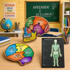 Kit 3 Quebra Cabeças Em MDF Corpo Humano Cérebro Crânio e Esqueleto Educativo Pedagógico