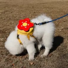 Mochila Pet com Guia Colete para Cachorro e Gato Bolsa para Passeio Ajustável e Confortável