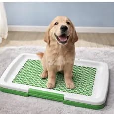 Tapete Sanitário Higiênico para Cães com Grade – Treinamento, Limpeza Fácil
