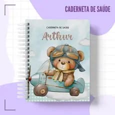 Caderneta de saúde vacina Nome Personalizada Ursinho Aviador capa Dura