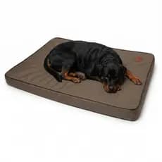 Cama Pet Colchão Ortopértico Impermeável Colchonete Para Cachorro Gato Resistente lavável 98x80cm