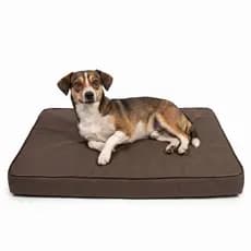 Cama Pet Impermeável  Colchão Colchonete Cachorro Gato Ortopédico Resistente Lavável Confortável