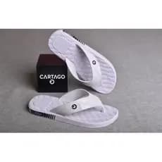 CHINELO MASCULINO ADULTO LANÇAMENTO