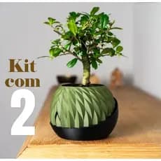 Kit 2 Vasos Autoirrigável Rega Sozinho Não precisa molhar todo dia! Chega de planta sem água!