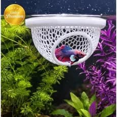 flutuador de descanso para peixe, Betta, peixe, aquario, decoracao