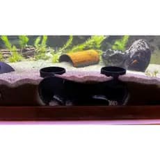 Túnel Labirinto para Aquário – Esconderijo 3D com Saída Fechada | Peixes e Camarões
