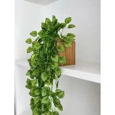 Arranjo De Prateleira Com Pendente De Folhagem Artificial Tipo Hera Jiboia Peperomia