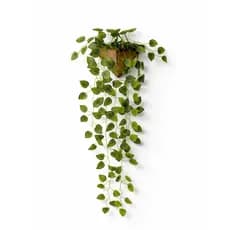 Arranjo de Parede com Hera/Peperomia/Jiboia Artificial - Arranjo Montado Pronto Para Decorar!
