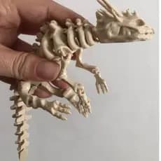 Esqueleto Dragão Articulado 23CM Impressão 3D flexível Decoração Colecionável