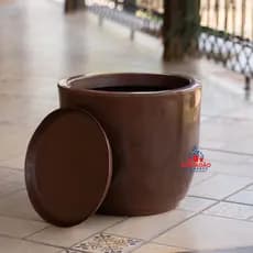🌱 Vaso de Planta com Prato – Resistente e Leve, ideal para salas, escritórios - BOJO 1 POLIDO