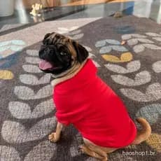 Inverno Roupas Para Cães Pata De Cachorro Com Capuz Cachorros Chihuahua Corgi De Buldogue Francês