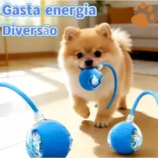 Bola Interativa para Cães – Brinquedo para Cães e Gatos com Rolamento Automático