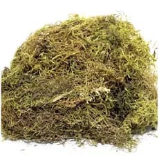 100 gramas de musgo para decoração