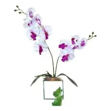 Orquídea Com Folha E Raiz Artificial Cetim Toque Real 5 Cores