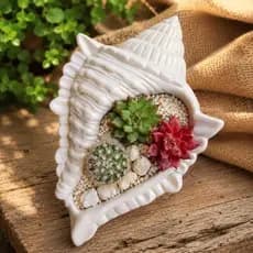 Cachepô vaso decorativo para suculentas Porta-Joias Porta-Vela - porta suculesta