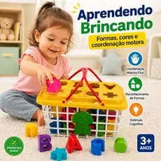 Brinquedo Educativo Infantil Encaixe Formas Coordenação Motora 3 Anos Caixa Didática 9 Peças Coloridas