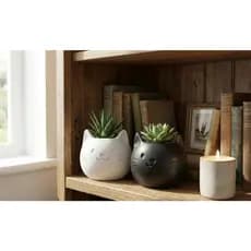 Kit 2 Vasos Gato Gatinho Cachepot para Suculentas/Cactos/Plantas Decoração Sala Quarto Elegante