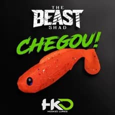 Isca Artificial HKD Beast Shad 105 10.5cm 10g- 2 UNIDADES