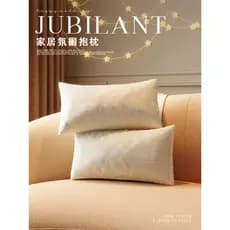 Novo estilo chinês sala de estar sofá travesseiro retangular lombar almofada longa encosto lombar estilo moderno fronha