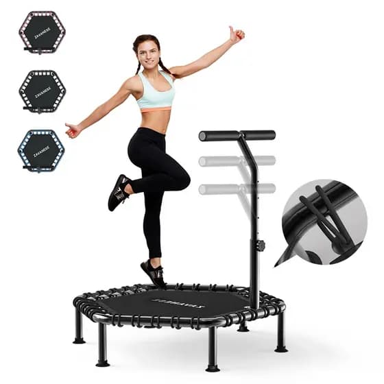 Mini Jump Trampoline Support Professional Gym for Home Use With Reinforcement Hoop Armrests with and Load Capacity 250kg