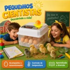 Chocadeira Automática 16 a 120 Ovos Bivolt 127V/220V Viragem Automática Controle Digital Incubadora