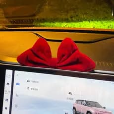 Decoração de carro Daquan