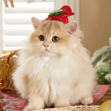 Novo estilo de chapéu de papai noel para gato de estimação, acessórios para gatos, atmosfera fofa de desenho animado, ch