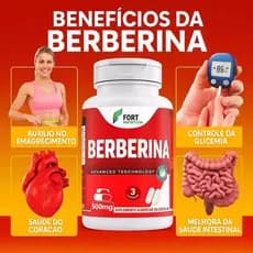 Berberina 500mg 120 Cápsulas - Suporte Ao Equilíbrio Metabólico Premium