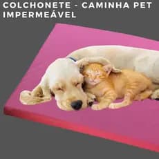 caminha pet cachorro gato impermeável espuma napa cor azul e rosa- confortável cama de pet