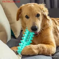 Brinquedo Para Mastigar Cachorro , Bastão De Escova De Dentes Cães Com Cores Brilhantes Vocais Macio Limpeza
