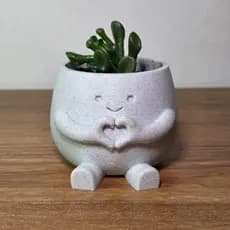 Vaso Coração Suculenta Cachepo Carinha Fofo Decoração Mesa Presente Casa Escritório