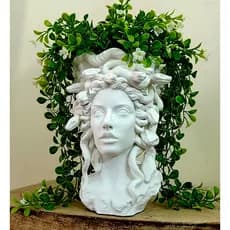 vaso cabeça medusa, escultura, mitologia grega, estético, Plantas tipo suculentas, escultura 3d