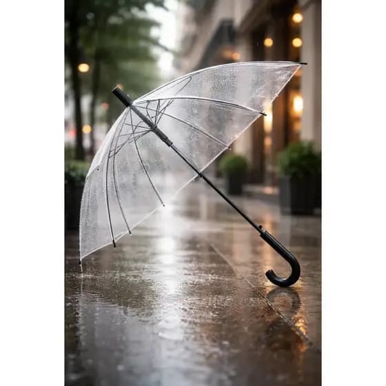 Guarda Chuva Automático Grande Transparente Elegante