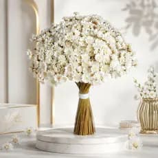 Sempre Viva Florzinha Branca 250 Flores Desidratadas Naturais Decoração Buquê Arranjo Vaso