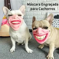Máscara Engraçada para Cachorros - Acessório Pet Fotos Festas