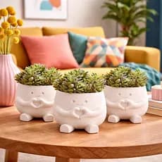 Kit 3 Vasos Decorativos Suculentas Branco Cute com Suporte Plantas Pequenas Facil Manutenção