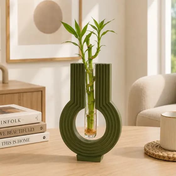 Vaso Decorativo Hidroponico Moderno com Vidro para Bambu da Sorte | Decoração Sala Hydroponic