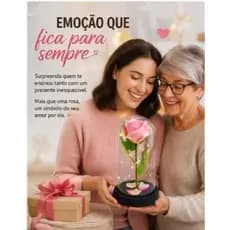 Rosa Encantada Na Cúpula Com Luz Led Presente Dia Das Mães