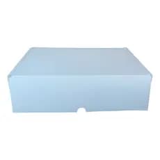 10 Caixas Transporte - 31x22x9 - Envio De Roupas, Acessorios