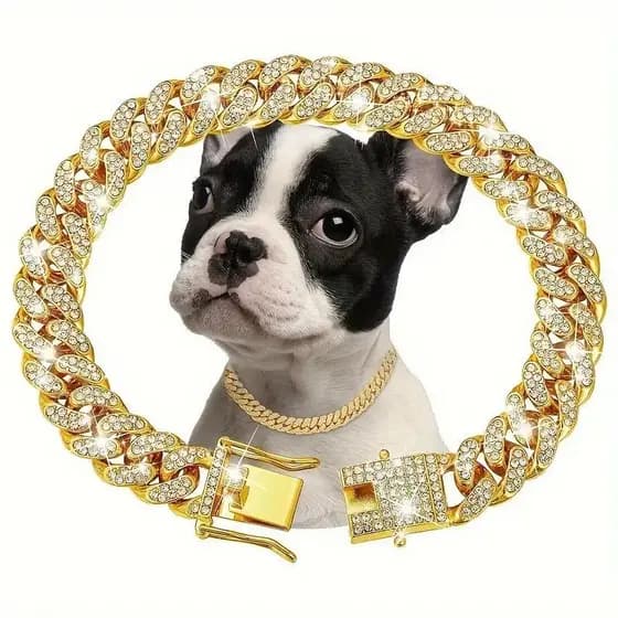 Coleira De Corrente Para Cachorro ,  Colar De Metal Gato , Joia De Cristal Animais De Estimaçã