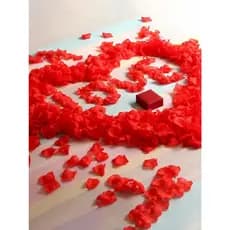 1000 Pétalas De Rosas Artificiais Brancas Vermelha Casamento Noivas Decoração Para Decoração Casamento Noivas