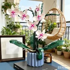 Blocos De Construção Buquê Flores De Ícones 608pcs Orquídea/rosas/flores Eternas