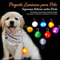 Coleira LED Pet Brilhante Cachorro Luz Luminosa Segurança Noturno Noite Anti-Perda