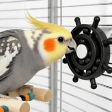 Brinquedo Educativo Para Aves Disco Giratório Interativo Anti Estresse, Calopsitas , Periquitos e Agapornis