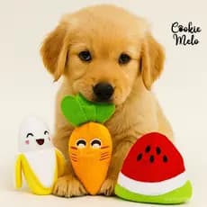 Kit 3 Brinquedo Pelúcia Para Pet Mordedor Antiestresse Com Barulho Apito Cachorro Gato Coloridas