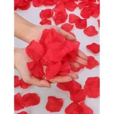 Pétalas do Amor Aromáticas – Noite Romântica e Surpresa Especial