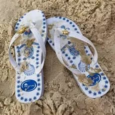 Chinelo Feminino Estampas Viariadas do Tamanho 33 ao 40